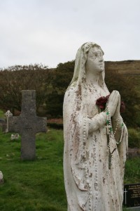 IMG_5074 IMG_5074