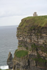 IMG_5126 IMG_5126